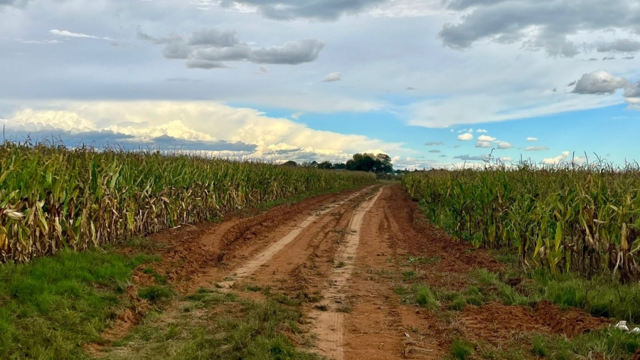 4 Bedroom Property for Sale in Bainsvlei Free State